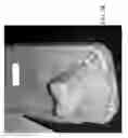 Fig. 13 - ELECTRONIC ARTICLE SURVEILLANCE (EAS) ALARM TAG