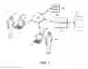 Fig. 02 - Online proctoring process for distance-based testing