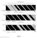 Fig. 06 - Digital driving method of OLED display device
