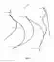 Fig. 02 - Reinforced electric wire and methods of making the same