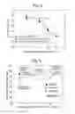 Fig. 04 - RFeB SYSTEM MAGNET AND METHOD FOR PRODUCING RFeB SYSTEM MAGNET