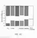 Fig. 09 - HALIDE DOUBLE PEROVSKITE Cs2AgBiBr6 SOLAR-CELL ABSORBER HAVING LONG CARRIER LIFETIMES