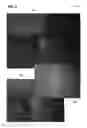 Fig. 09 - Method of making a semiconductor device formed by thermal annealing