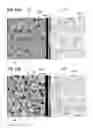 Fig. 12 - Method of making a semiconductor device formed by thermal annealing