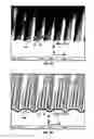 Fig. 06 - WAVELIKE HARD NANOMASK ON A TOPOGRAPHIC FEATURE AND METHODS OF MAKING AND USING