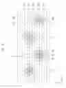 Fig. 10 - Semiconductor memory device