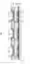 Fig. 02 - Method of manufacturing organic light-emitting display apparatus