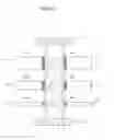 Fig. 18 - Neuromorphic device including gating lines with different widths