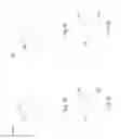 Fig. 06 - Three-dimensional transistor and methods of manufacturing thereof