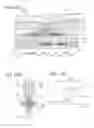 Fig. 23 - Semiconductor device and method for manufacturing the same