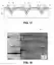 Fig. 12 - Growth of cubic crystalline phase structure on silicon substrates and devices comprising the cubic crystalline phase structure