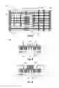 Fig. 04 - High voltage tolerant LDMOS
