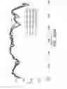 Fig. 77 - Microstructure enhanced absorption photosensitive devices