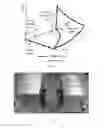 Fig. 04 - Laterally Curved Actuators of Shape Memory Materials