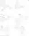 Fig. 385 - ORGANIC LIGHT-EMITTING DEVICE