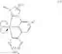 Fig. 04 - Iridium complex, OLED using the same, and nitrogen-containing tridentate ligand having carbene unit