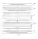 Fig. 11 - Flexible display panel, package method thereof and display device