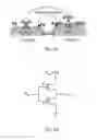 Fig. 14 - Electronically pure single chirality semiconducting single-walled carbon nanotube for large scale electronic devices
