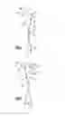 Fig. 04 - BATTERY CELL SEPARATOR HAVING CONTOURED PROFILE