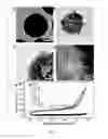Fig. 03 - Porous silicon nanostructured electrode and method