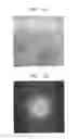 Fig. 02 - Composite cathode active material, cathode and lithium battery including the composite cathode active material, and method of preparing the composite cathode active material