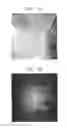Fig. 04 - Composite cathode active material, cathode and lithium battery including the composite cathode active material, and method of preparing the composite cathode active material