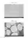 Fig. 05 - Composite cathode active material, cathode and lithium battery including the composite cathode active material, and method of preparing the composite cathode active material