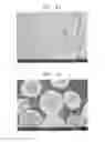 Fig. 06 - Composite cathode active material, cathode and lithium battery including the composite cathode active material, and method of preparing the composite cathode active material