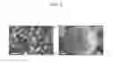 Fig. 03 - Negative active material for lithium secondary battery, manufacturing method thereof and lithium secondary battery including the same