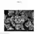 Fig. 04 - Negative active material for lithium secondary battery, manufacturing method thereof and lithium secondary battery including the same