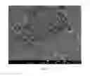 Fig. 03 - Hybrid sulfur particles and cathode active materials containing the hybrid particles
