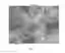 Fig. 04 - Hybrid sulfur particles and cathode active materials containing the hybrid particles