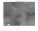 Fig. 05 - Hybrid sulfur particles and cathode active materials containing the hybrid particles