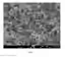 Fig. 11 - Hybrid sulfur particles and cathode active materials containing the hybrid particles