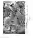 Fig. 22 - Negative electrode material of lithium battery and method for manufacturing the same