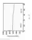 Fig. 25 - Negative electrode material of lithium battery and method for manufacturing the same