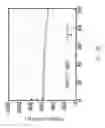 Fig. 26 - Negative electrode material of lithium battery and method for manufacturing the same