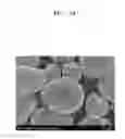 Fig. 07 - Positive active material, positive electrode, and lithium battery containing the positive active material