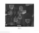 Fig. 09 - Functionalization of carbon for embedding in chalcogen particles to enhance electronic conductivity