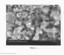 Fig. 08 - Partially and fully surface-enabled alkali metal ion-exchanging energy storage devices