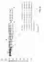 Fig. 35 - Electrolyte for rechargeable electrochemical cell