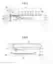 Fig. 03 - Antenna device and wireless apparatus