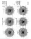 Fig. 09 - BROADBAND OMNIDIRECTIONAL DIPOLE ANTENNA SYSTEMS
