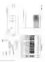 Fig. 17 - Efficiencies and flexibilities in inductive charging