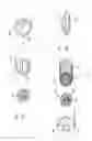 Fig. 03 - Hollow rotor structure for DC motor and winding structure of the same