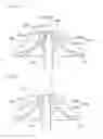 Fig. 41 - Motor assembly