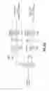 Fig. 13 - Distributed antenna system for MIMO signals
