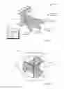 Fig. 02 - Radio frequency distribution network for a split beam user specific tilt antenna