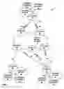 Fig. 02 - Traffic black holing avoidance and fast convergence for active-active PBB-EVPN redundancy