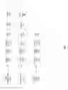 Fig. 09 - Monitoring a real-time continuous data stream filter for problems